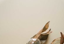 ¿De qué se trata el tiempo?